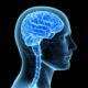 Massage Therapy CEU Courses Online Brain Disorders Course